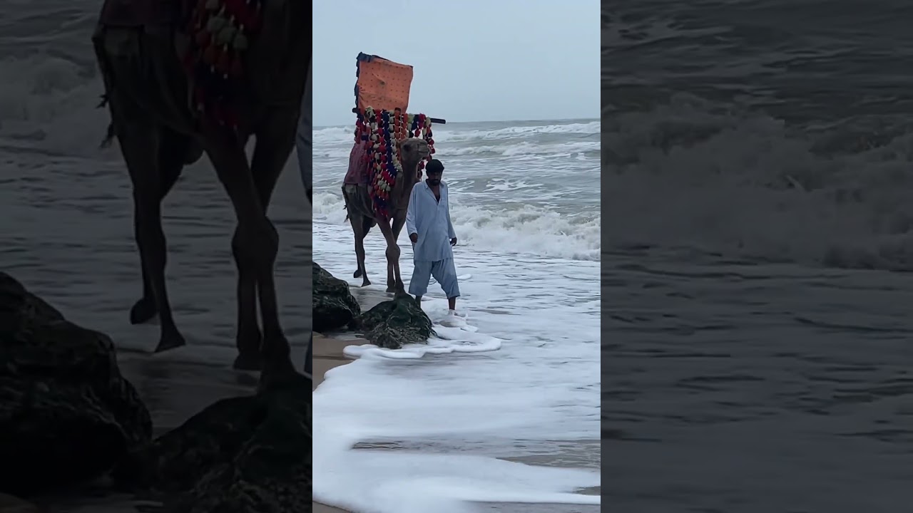 Coastline of Pakistan