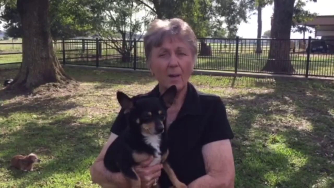 Nancy Beddingfield — An Impacted Land Owner's Experience YouTube