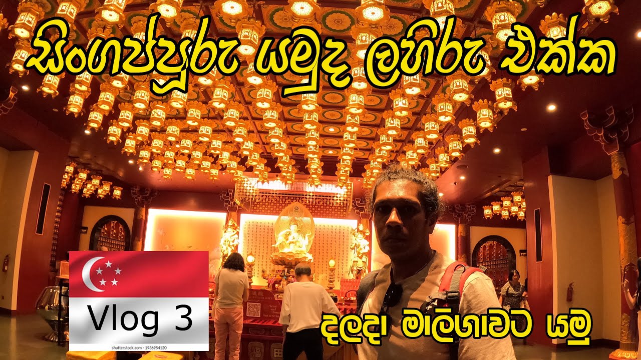 Buddha Tooth Relic Temple 🧡දලදා මාලිගාවට චයිනා ටවුන් වල 🧡 Singapore China Town 👍 vegetarian Food