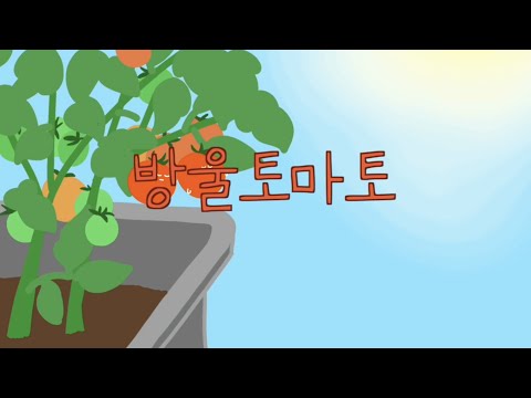 ✨Daystar - 🍅Cherry tomato🍅✨(Royalty Free Music)