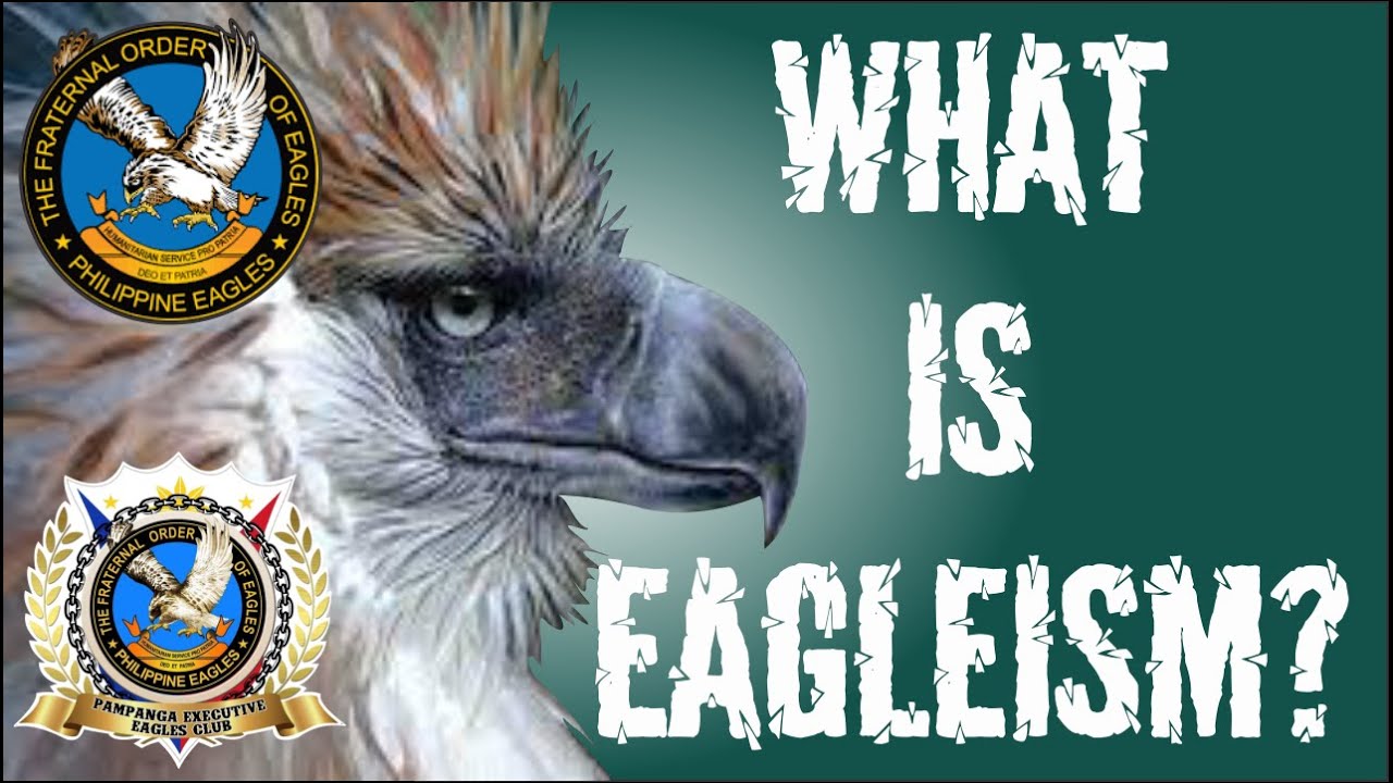 WHAT IS EAGLEISM? PHILIPPINE EAGLES