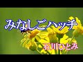 みなしごハッチ / 石川ひとみ (歌詞入り)