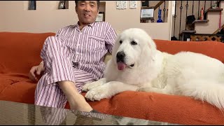 【ルンルンの裏庭】文明の利器ミニ三脚を導入し定点映像を撮り始めたお父さん