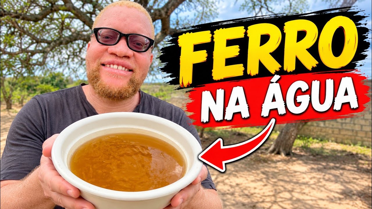 O QUE FAZER AGORA? NOVOS DESAFIOS.