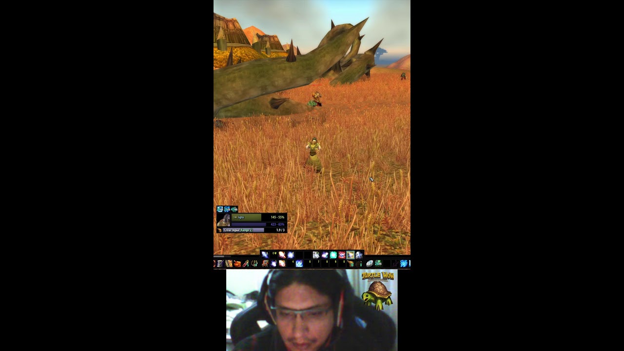 TurtleWoW Latam Leveando el mago