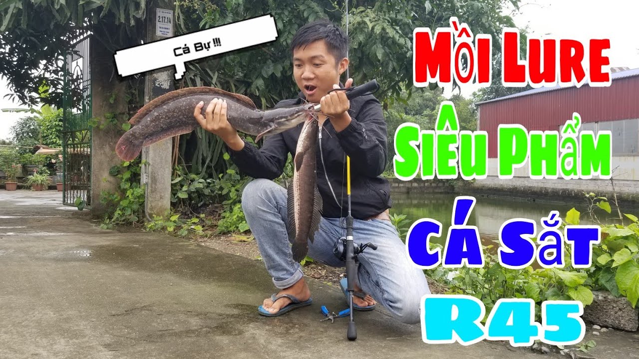 Thóc TV - Siêu Phẩm Cá Sắt R45