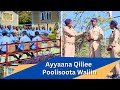 Ayyaana qillee poolisoota waliin