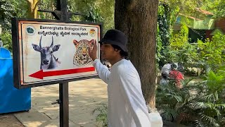 | Bannerghatta zoo attack | Bangalore | explore | ibrahim pasha |#attack #animals #nationalpark screenshot 4