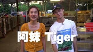 《幫緊你應援團》 EP 10 - 大樹下好遮蔭