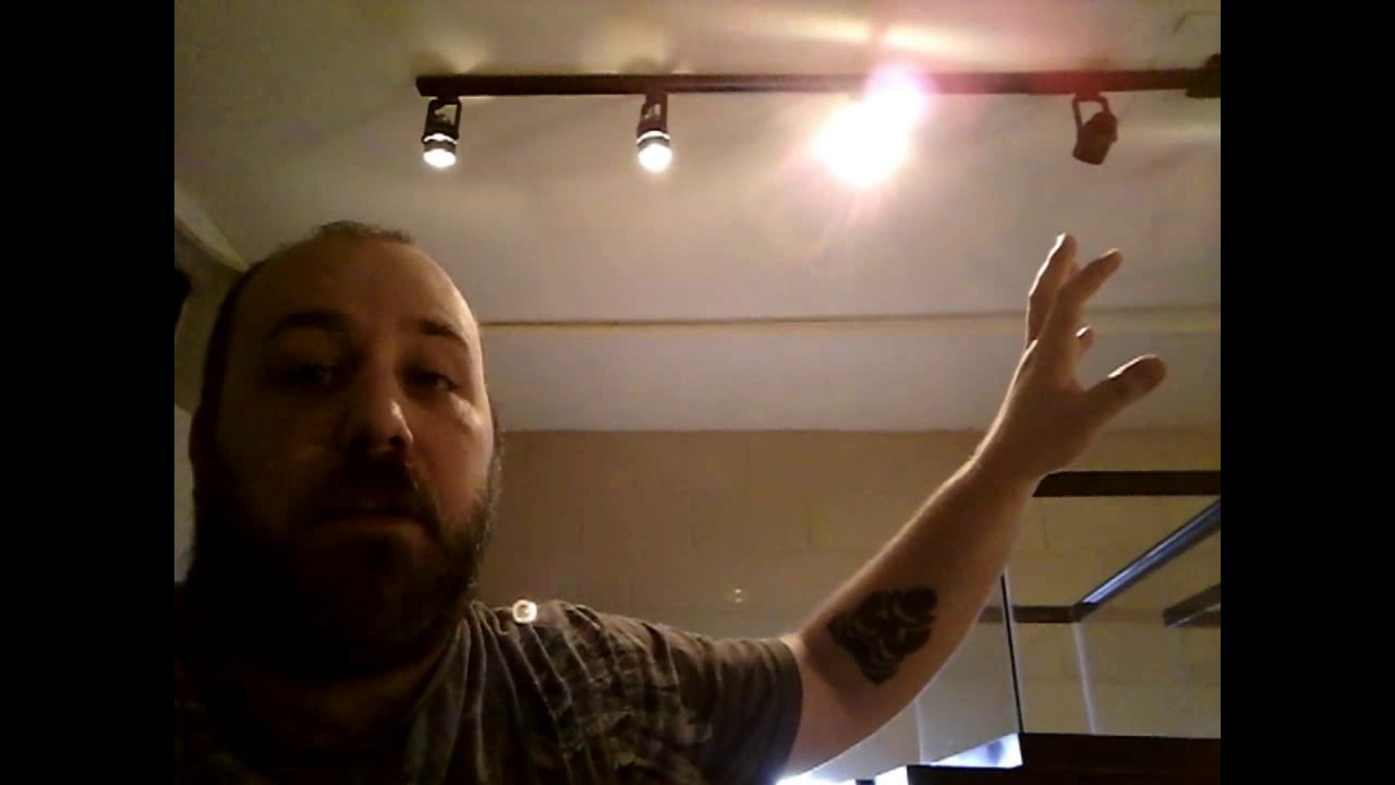 Petco Dollar Per Gallon Sale YouTube