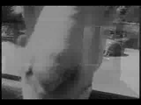 Zebras — ZEBRAS - Parasites
