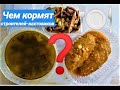 СТРОИТЕЛЬНЫЕ БУДНИ/ ЧЕМ КОРМЯТ СТРОИТЕЛЕЙ-ВАХТОВИКОВ?