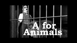 Charlie Chaplin ABCs - A for Animals