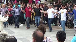 Ζαχαρούλα - Λαογραφικός Όμιλος Βλάχων & Φίλων 
