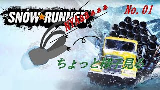 「Snow Runner」 01