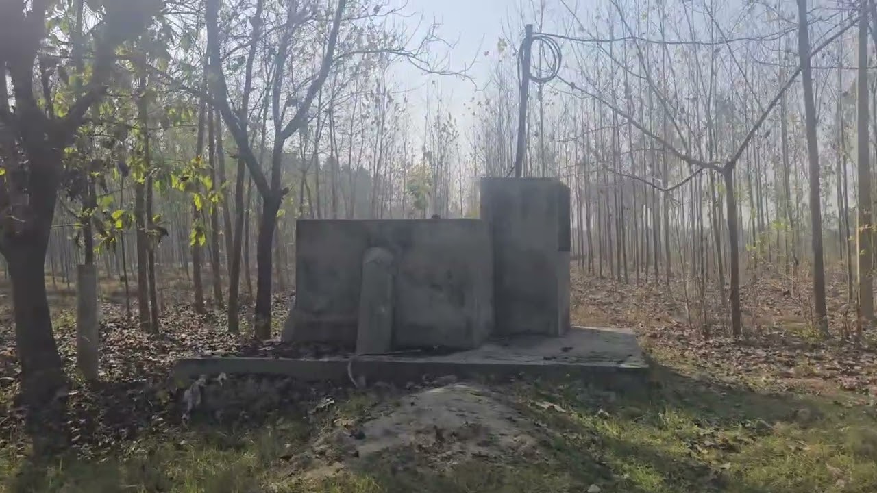 13 Acre land with plant  tubewell connection for sale in Hoshiarpur punjab 8284905110,9316167007