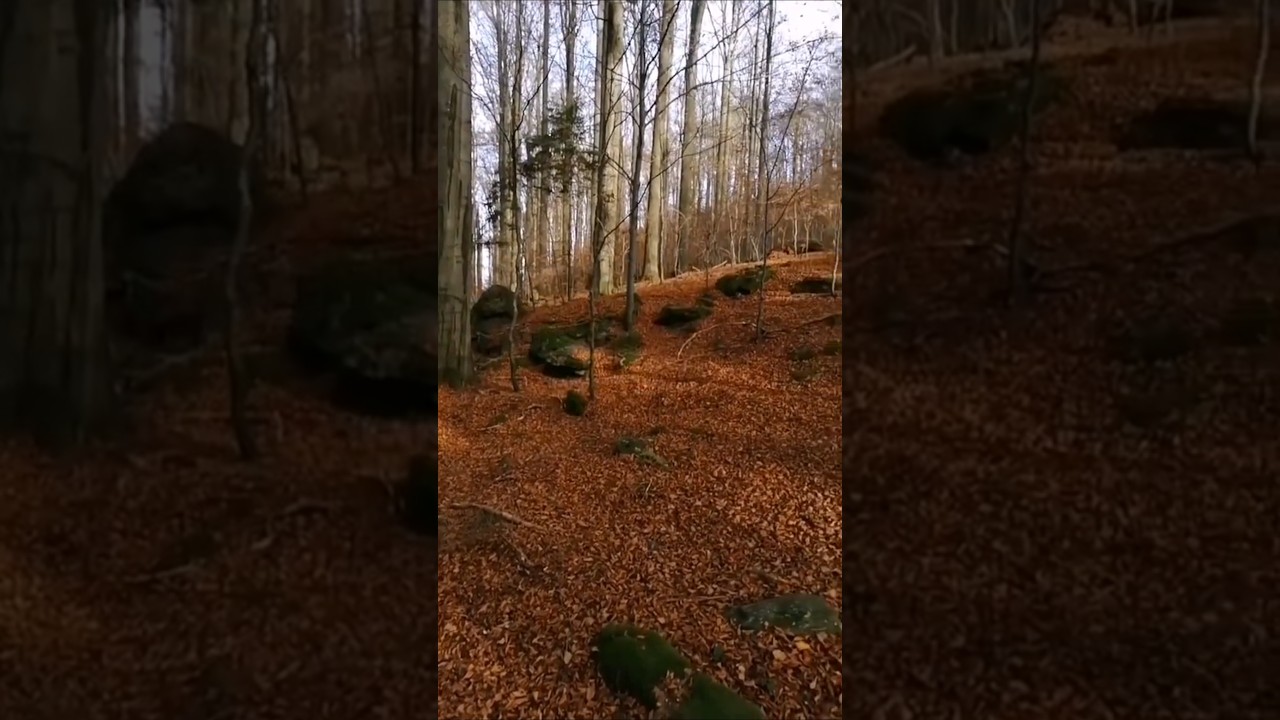 SQL Injection Hack The Box Faculty - YouTube Auto PHP Script