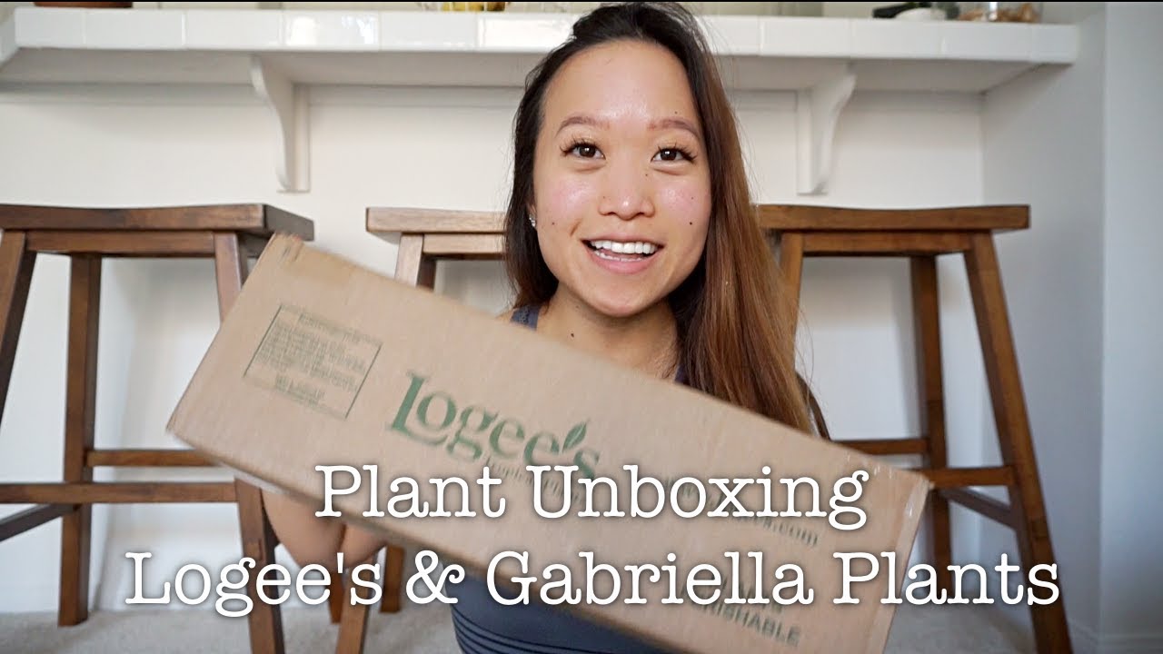 RARE PLANT UNBOXING LOGEE'S & GABRIELLA PLANTS YouTube