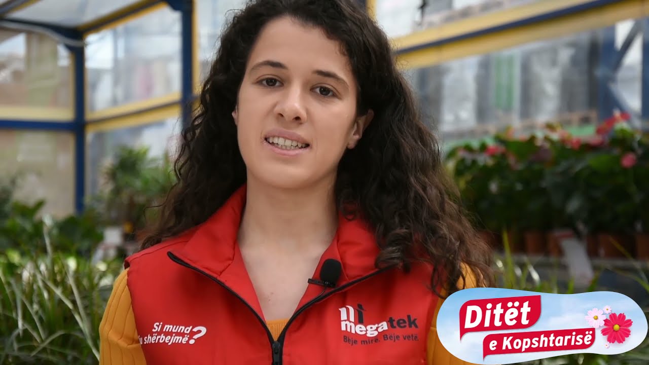 Ditët e Kopshtarisë | Bimë, vazo, dekorime e vegla pune | Megatek Albania