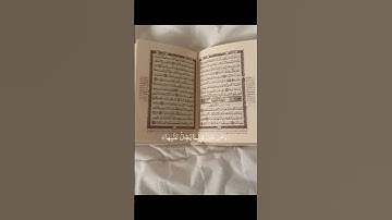 (وكل إنسان ألزمناه طائرة في عنقه )💗🌼 القرآن الكريم غذاء الروح