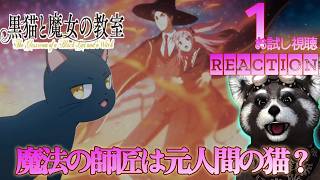 黒猫と魔女の教室 同時視聴