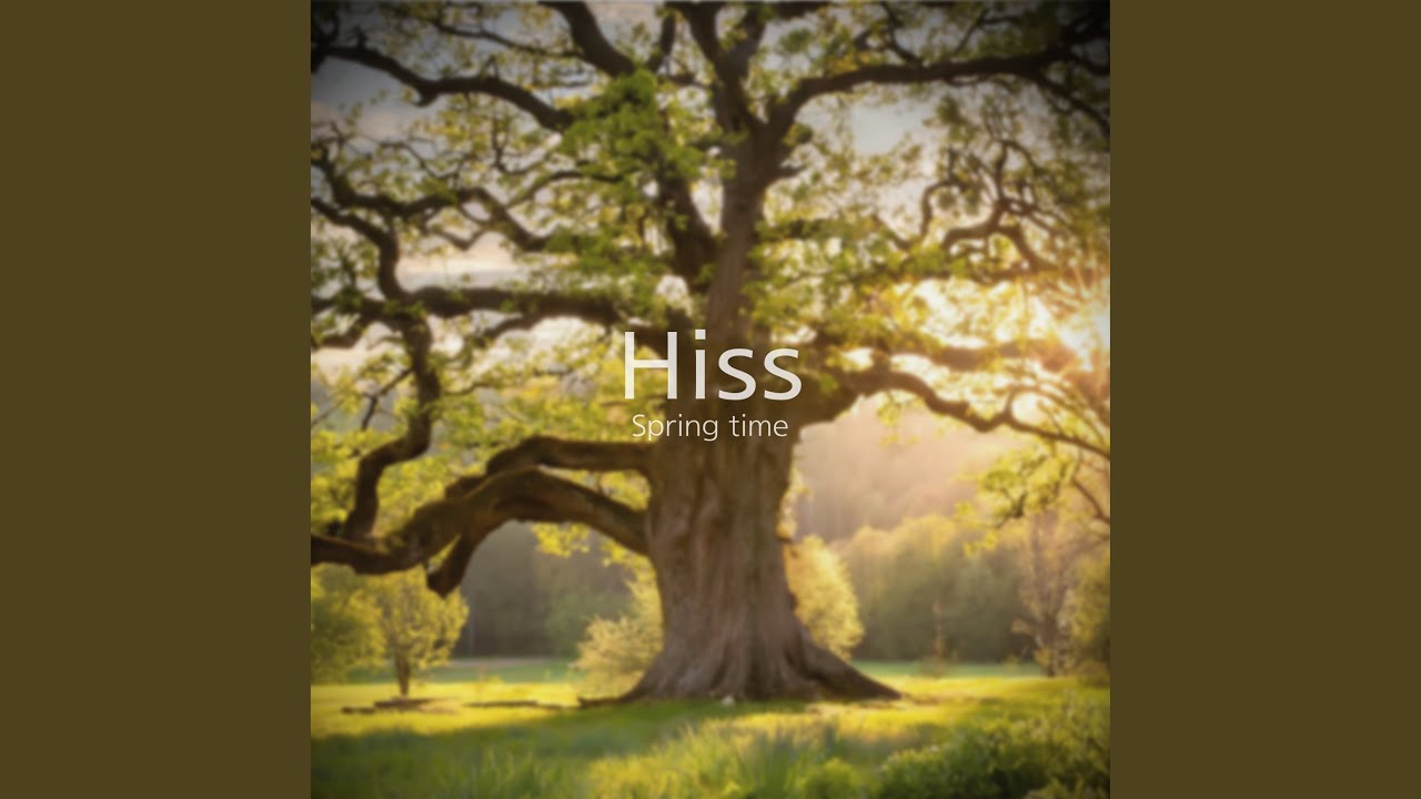 Guarda Connection su YouTube Guarda Connection su YouTube