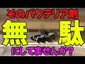 バクテリアについて最低限知っておくべきこと【アクアリウム・ベタ水槽】