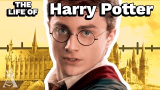 The Life Of Harry Potter (Harry Potter)