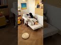 爽やかストライプ✨リクライニング付き1人掛けソファベッド#sofa #sofabed #おうち時間 #interior #shorts