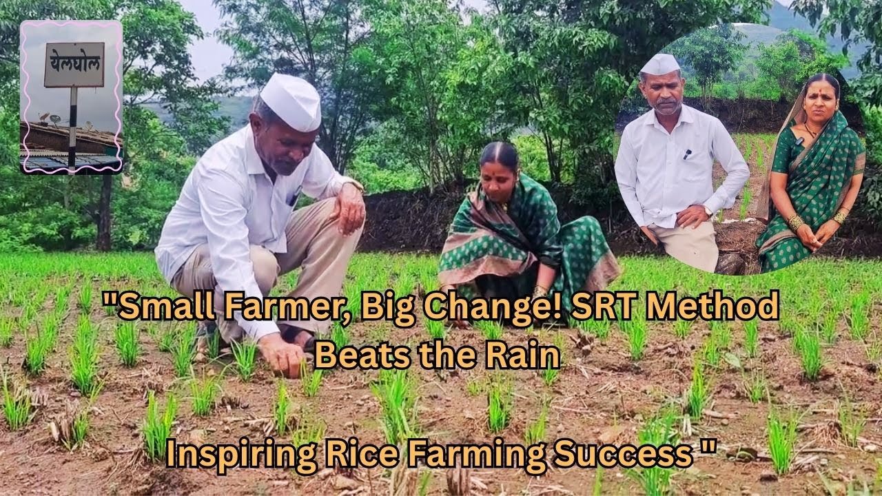 «Маленький фермер, большие перемены! Метод SRT помогает справиться с дождём — вдохновляющий успех...