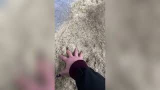 Main Video
