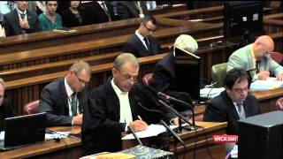 Pistorius Trial: Witness describes 'terrifying' screams