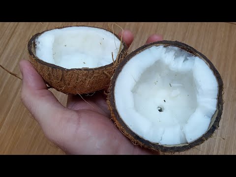 Как правильно есть кокос