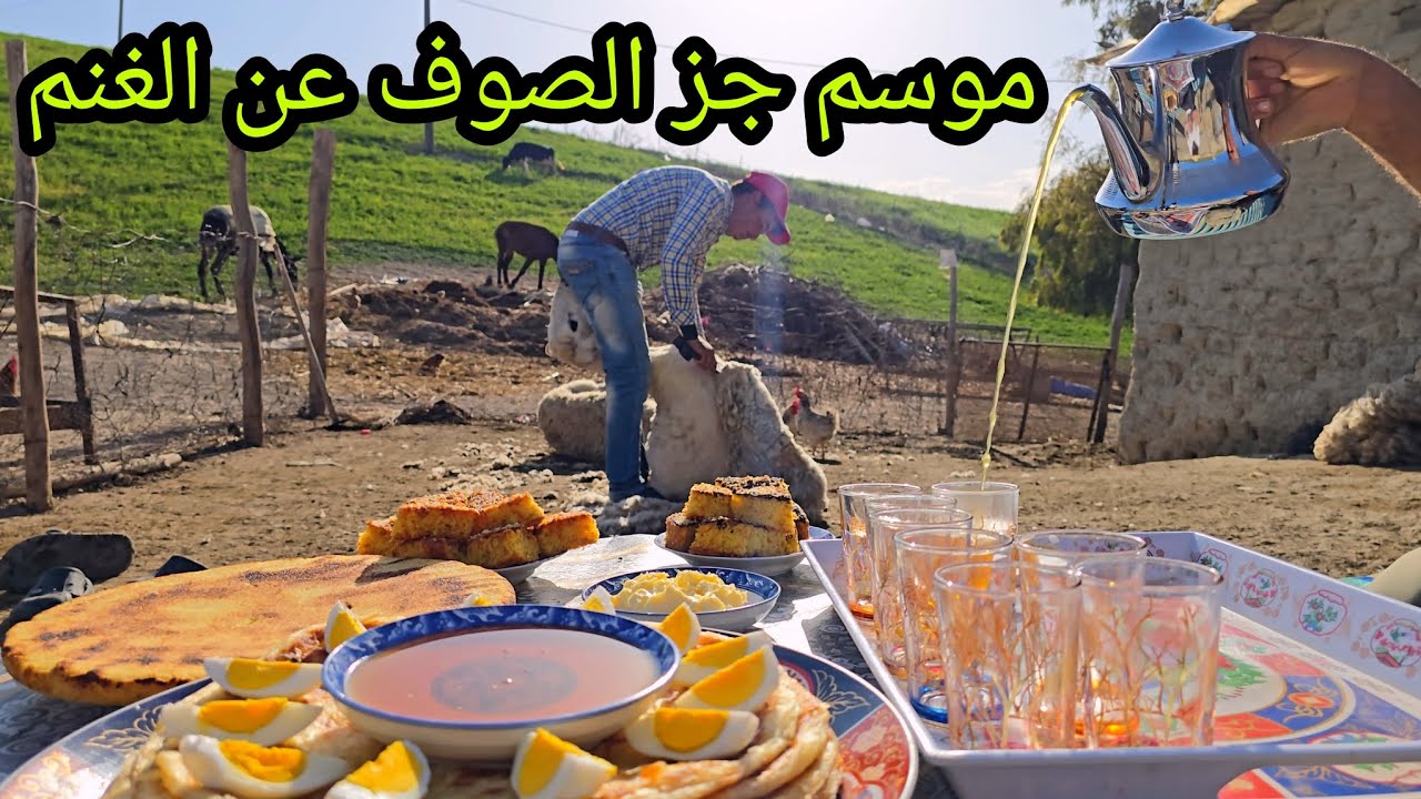 اليوم دزينا الغنم بعون الله، عملية للي مهمة لراحة القطيع قبل حلول الحرارة ....