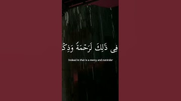 سورة العنكبوت | القارئ شريف مصطفى