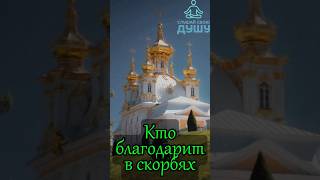 О благодарности. Святитель Иоанн Кронштадский  #мудрость #святые #старцы
