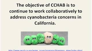 The California Cyanohab Network Cchab