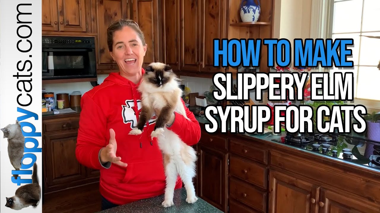 How to Make a Slippery Elm Syrup Recipe for Cats