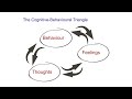 Cognitive Behavioral Therapy