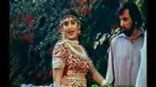Pashto Filmi Songnazoo
