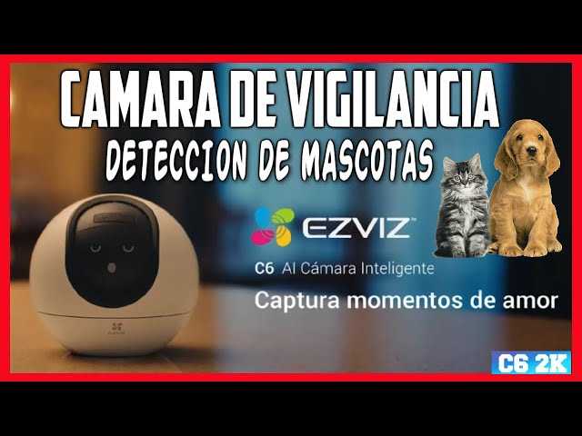 😻🐶 Las MEJORES Cámaras para VIGILAR Perros y Gatos 👀 [Vigilancia  Interior] [Háblale con tu cámara] 