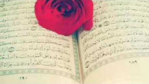 سورة النساء بصوت عامر الكاظمي
