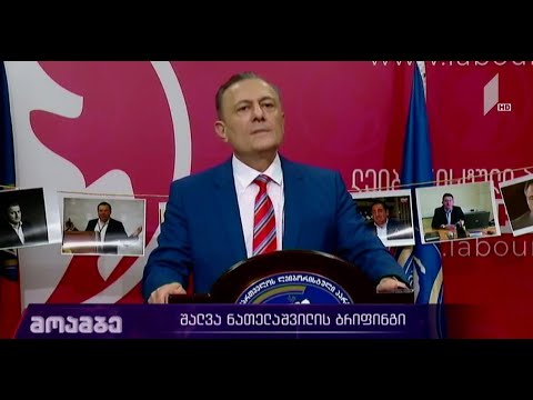შალვა ნათელაშვილის ბრიფინგი