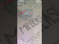 #Mr beast #art#viral