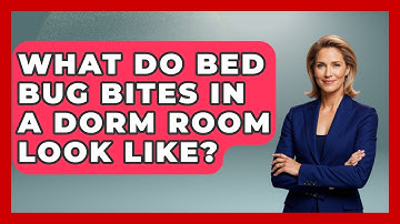 What Do Bed Bug Bites In A Dorm Room Look Like? - Insects and Invaders