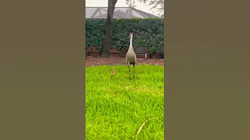 The Things You See In Vero Beach FL By Ravena Gabriela 
