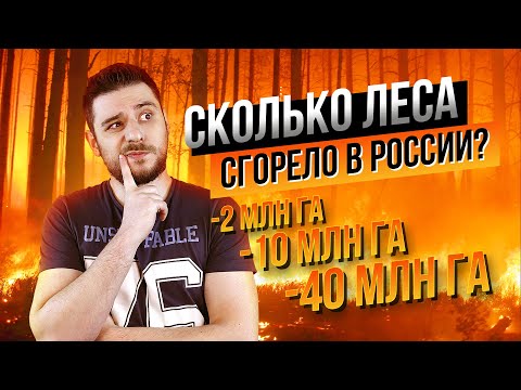 СКОЛЬКО ЛЕСА СГОРЕЛО В РОССИИ? Честные цифры