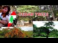 Cedar Trees of Lebanon / Mayfouq Village/ VICKAY KIKAY