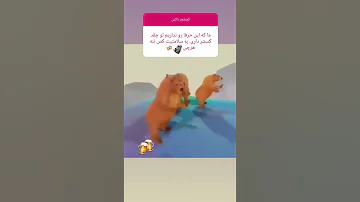 کصشعر با مفهوم کسشعر کصشعر کبصشعر 
