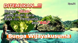 Ditemukan...!!! Bunga GHAIB yang dicari para Raja dan Penguasa yang Asli !! Wijayakusuma@Healing2255